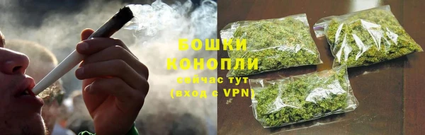 индика Бронницы